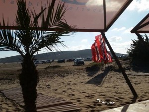 12687904_934514053265254_6034609367626852617_n